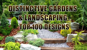 Landscape Solutions Design